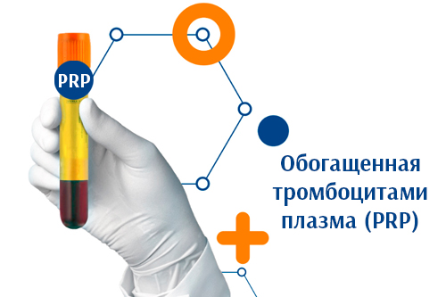 Новая услуга 